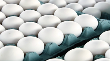 تباين أسعار كرتونة البيض السبت بين 135 و140 جنيهًا للمستهلك